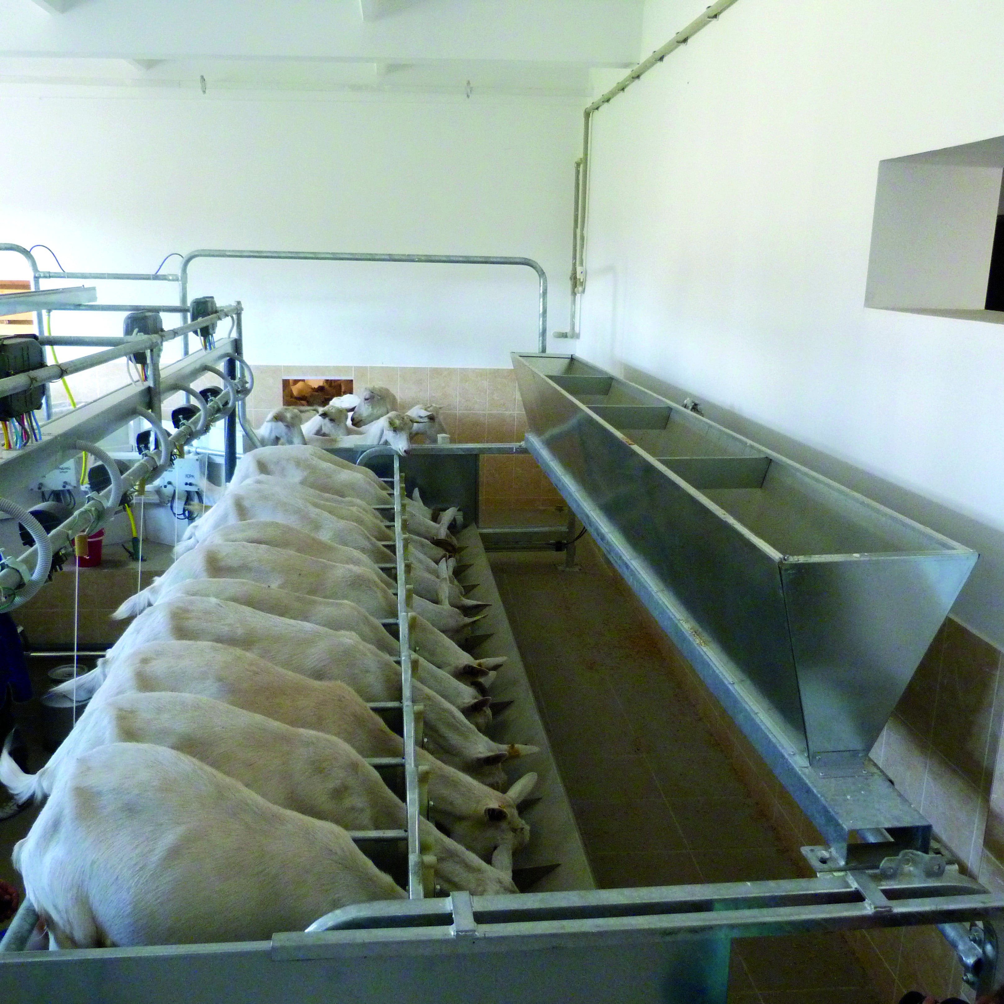 Parallel parlour with side exit