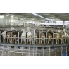 Goats and sheep rotary parlour