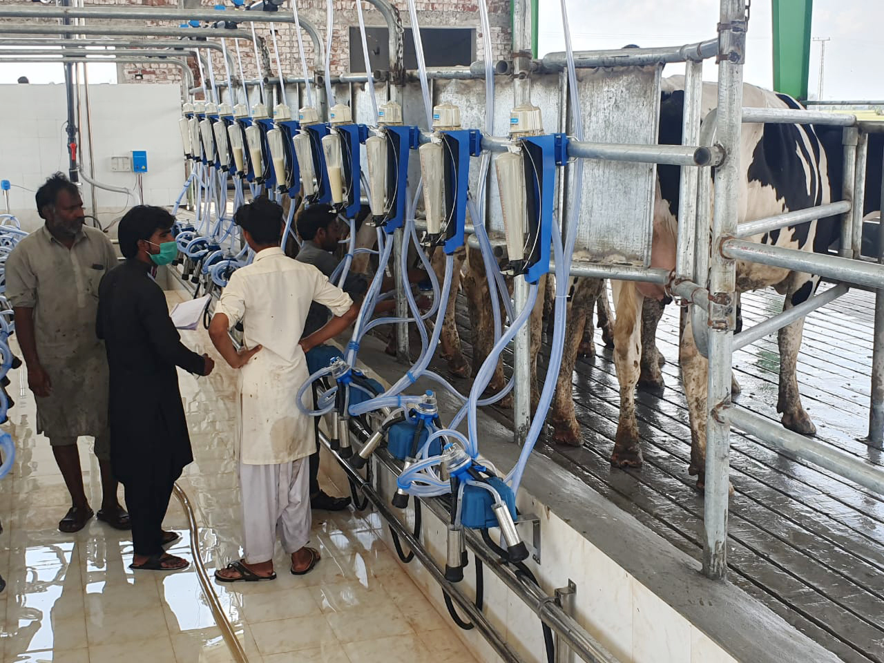 kasur5
