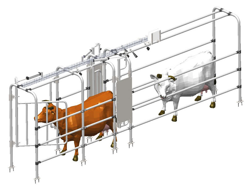 selection gate
