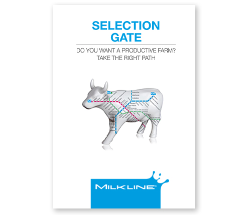 Selection gate