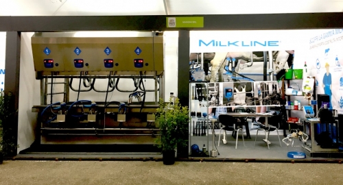 Milkline go to Noci for the dairy cattle show 
